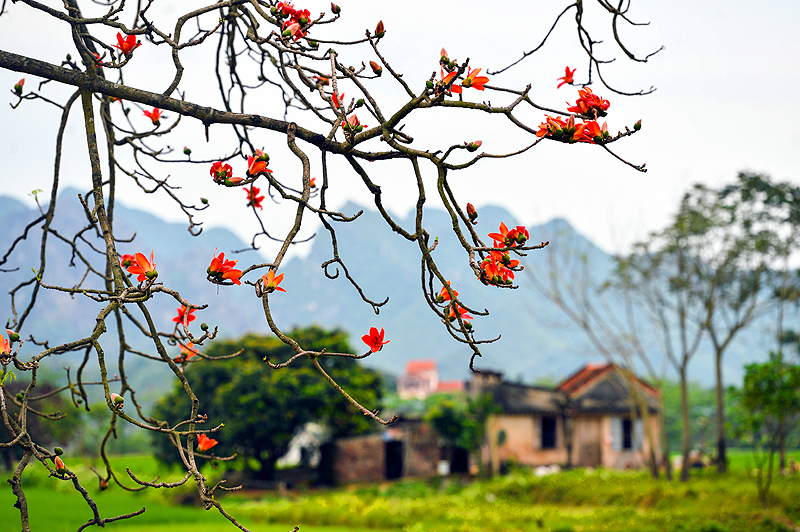 Thời tiết hôm nay (19-3): Miền Bắc trời nắng ấm, miền Nam nắng nóng